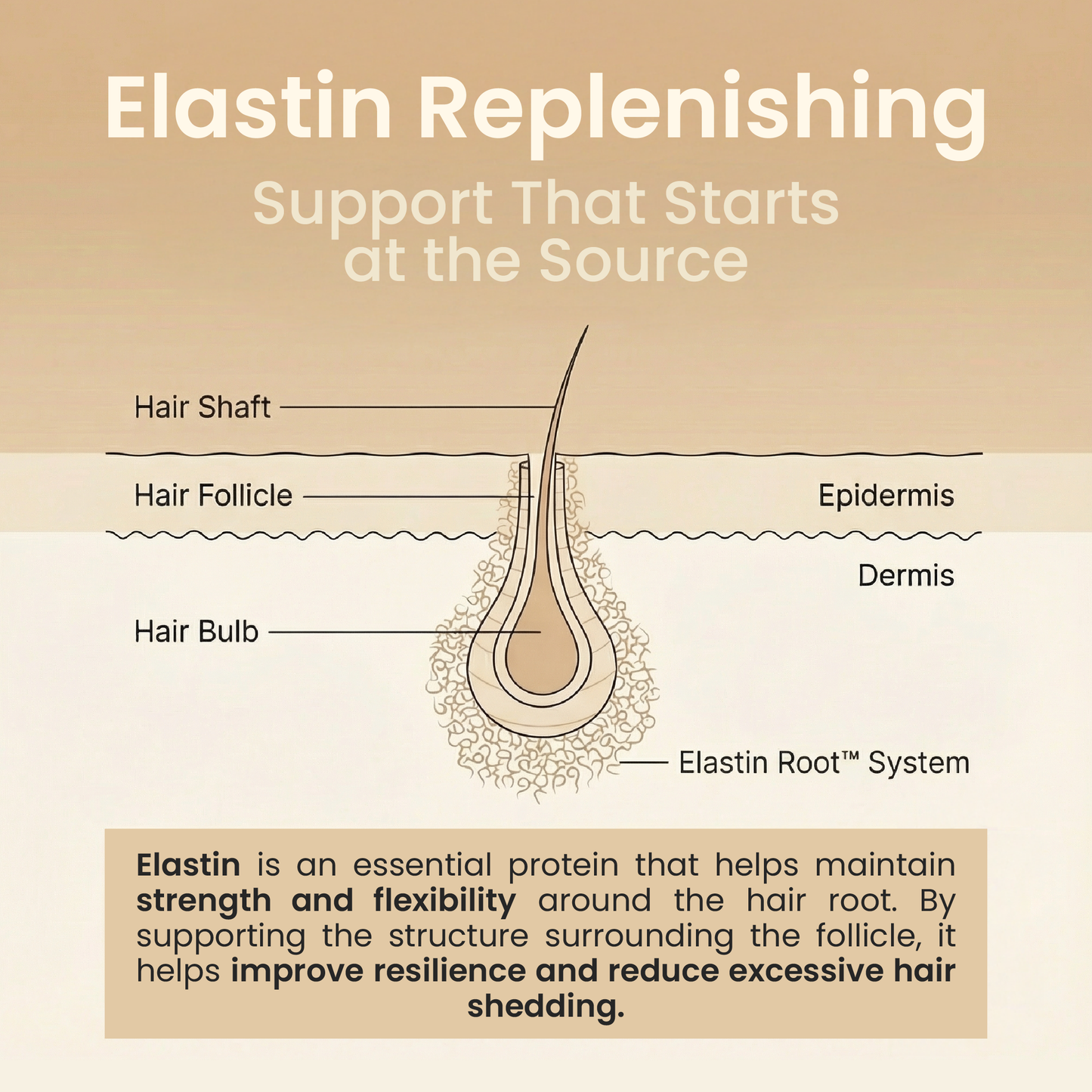 Kehyla Beauty - Sérum pour la pousse des cils